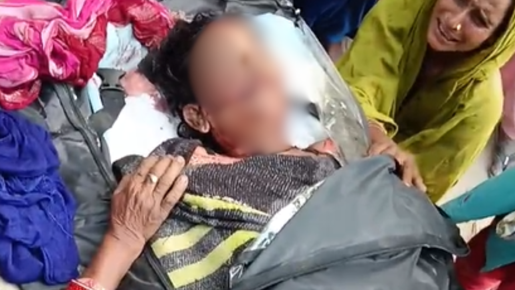 Mẹ hy sinh mạng sống để bảo vệ con mình trước móng vuốt của báo hoa mai - 1 Mẹ hy sinh mạng sống để bảo vệ con mình trước móng vuốt của báo hoa mai - 1