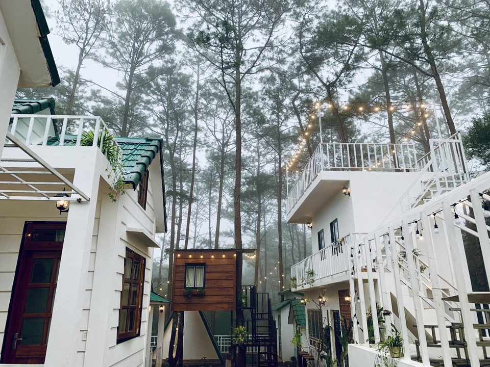 Đóng 3 cửa hàng ở Hà Nội, cặp đôi “bỏ phố, lên rừng” làm nhà đẹp như mơ - 6 Đóng 3 cửa hàng ở Hà Nội, cặp đôi “bỏ phố, lên rừng” làm nhà đẹp như mơ - 6