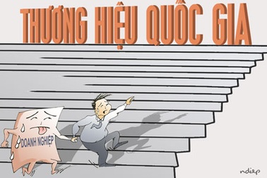 Đừng để nông dân Việt bị những quả đắng từ thương lái Trung Quốc