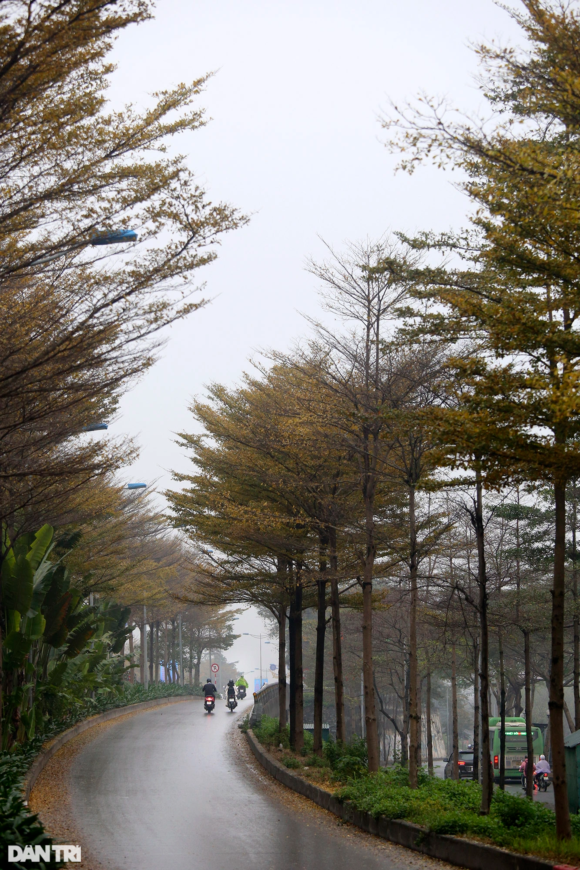Vẻ đẹp bất ngờ từ những đường cong mềm mại trong giao thông ở Hà Nội - 12 Vẻ đẹp bất ngờ từ những đường cong mềm mại trong giao thông ở Hà Nội - 12