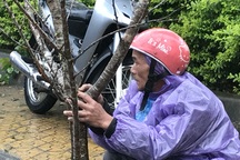 Người dân đội mưa, chịu rét ra tận lề đường “tiếp thị” sắc xuân