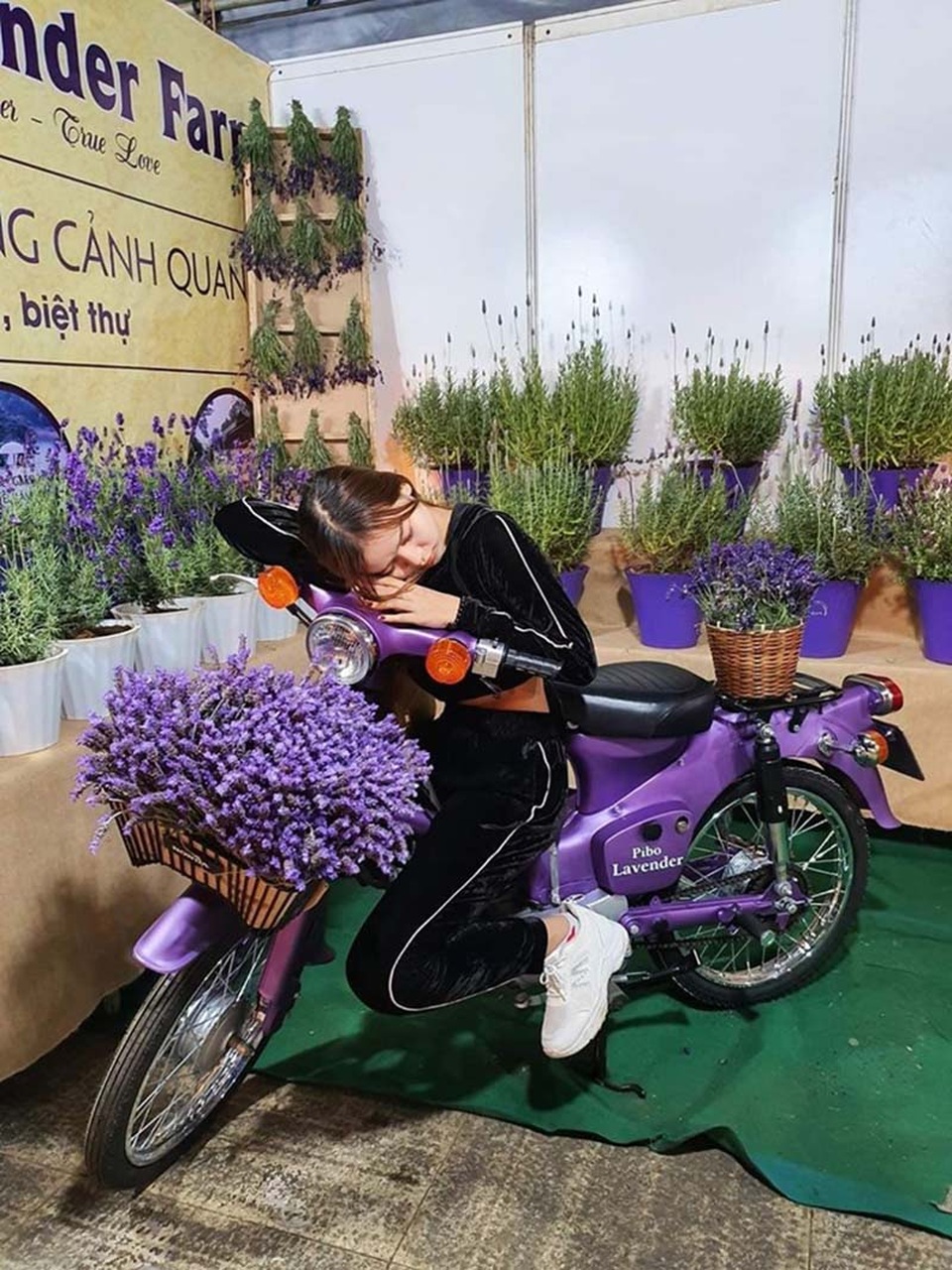 Nữ sinh xứ Huế gây chú ý với bộ ảnh “ngủ sấp mặt khắp Đà Lạt - 6