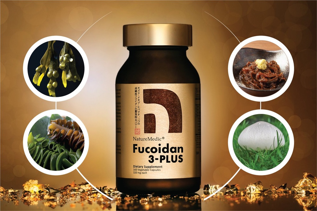Fucoidan và công dụng hỗ trợ điều trị ung thư gan, dạ dày - 3 Fucoidan và công dụng hỗ trợ điều trị ung thư gan, dạ dày - 3