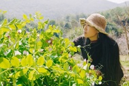 Cuộc sống như mơ của cô gái bỏ phố về quê, sống biệt lập ở thung lũng