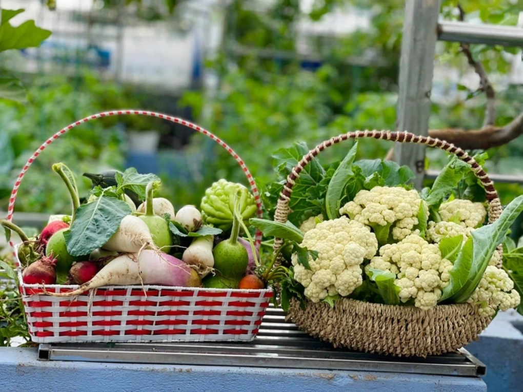Rau, củ tự trồng có thực sự an toàn hơn rau mua ngoài chợ? - 4 Rau, củ tự trồng có thực sự an toàn hơn rau mua ngoài chợ? - 4