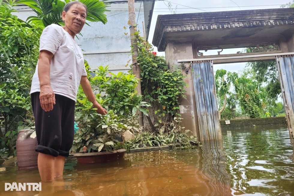 Mầm bệnh theo dòng nước bủa vây người dân tại rốn lũ Hà Nội - 1