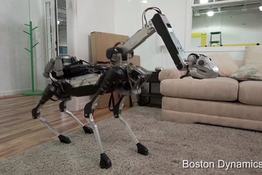 Kinh ngạc về mẫu robot có thể làm được việc nhà