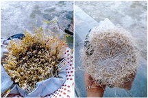 "Dở khóc dở cười" những sự cố bếp núc... mùa giãn cách