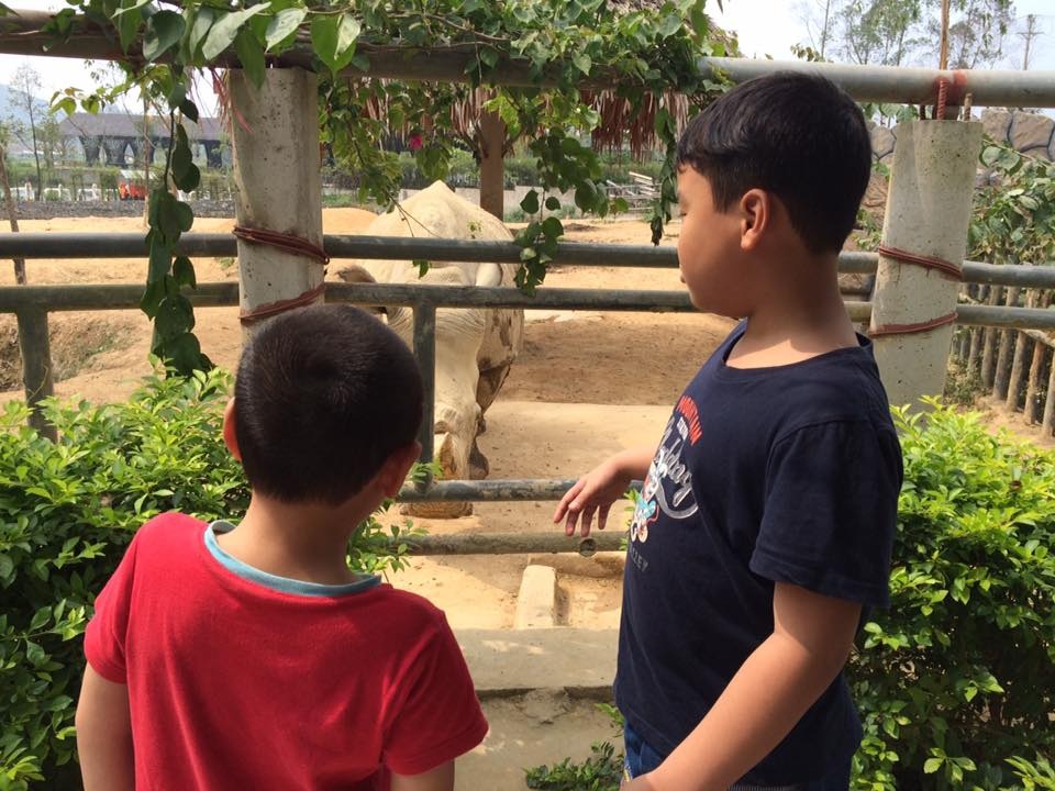 Nổ làm to ở phố, người con ôm cục nợ khi về quê đón Tết - 2 Nổ làm to ở phố, người con ôm cục nợ khi về quê đón Tết - 2