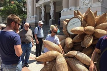 Hướng dẫn viên du lịch Hà Nội chạy vào TP.HCM… học