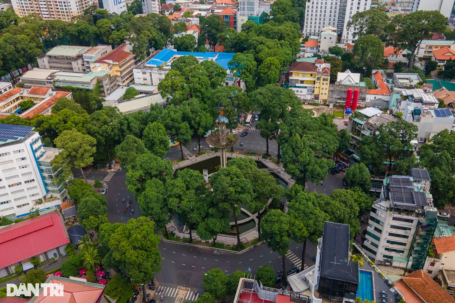 Ngắm những mảng cây xanh rộng lớn, mát mắt ở TPHCM - 10 Ngắm những mảng cây xanh rộng lớn, mát mắt ở TPHCM - 10