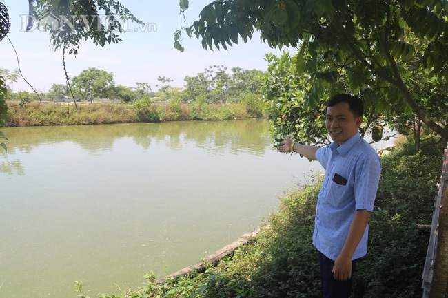 Nuôi cá chép lai thâm canh, nông dân Thanh Hóa lời 150 triệu đồng/ha - 4 Nuôi cá chép lai thâm canh, nông dân Thanh Hóa lời 150 triệu đồng/ha - 4