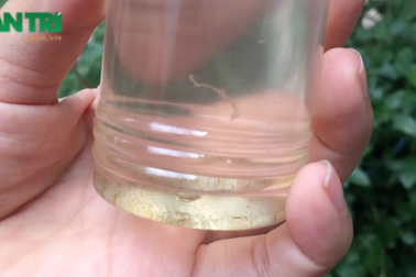 "Mê hồn trận" nguyên liệu bánh Trung thu giá bèo