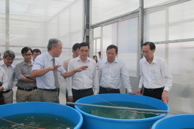 Thu hút 100 tổng công trình sư: Nếu nhà khoa học gánh tư duy nhiệm kỳ?