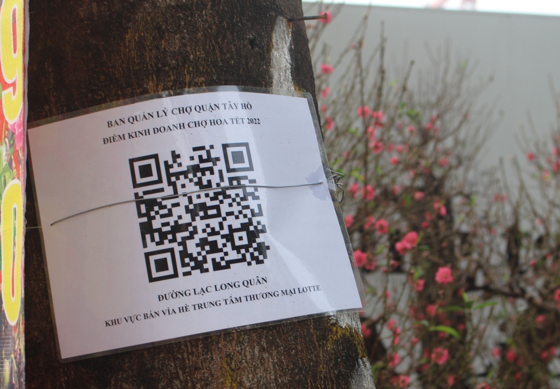 Vì sao đào, quất ế ẩm người bán vẫn cố bám trụ đến giao thừa? - 4 Vì sao đào, quất ế ẩm người bán vẫn cố bám trụ đến giao thừa? - 4