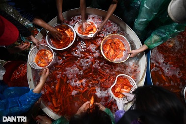 Chợ cá Yên Sở rực sắc đỏ, nhộn nhịp bán xuyên đêm ngày ông Táo về trời