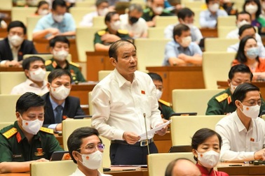 Hải Phòng sẽ tiếp tục xây dựng đề án về khu thương mại tự do