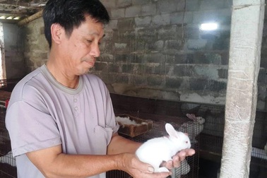 Lão nông kiếm chục triệu đồng/tháng dễ như “trở bàn tay” nhờ nuôi thỏ ngoại
