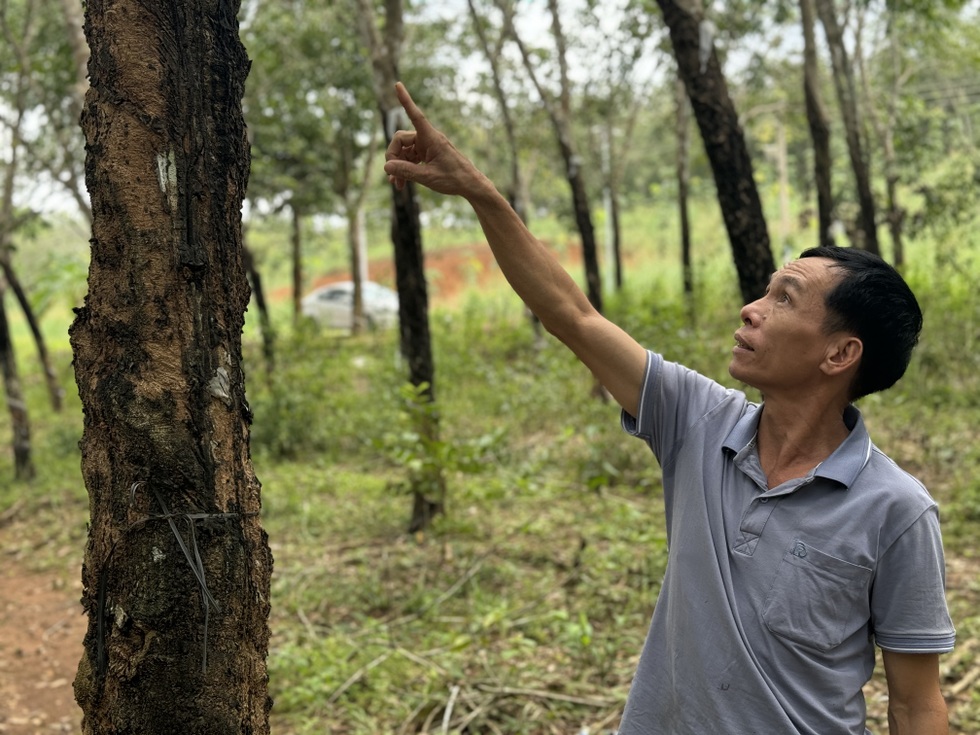 Bí quyết làm giàu của người đàn ông có cơ ngơi tiền tỷ giữa rừng cao su Đồng Nai