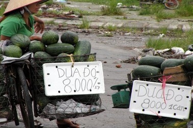 "Luật ngầm" của dân buôn hoa quả vỉa hè