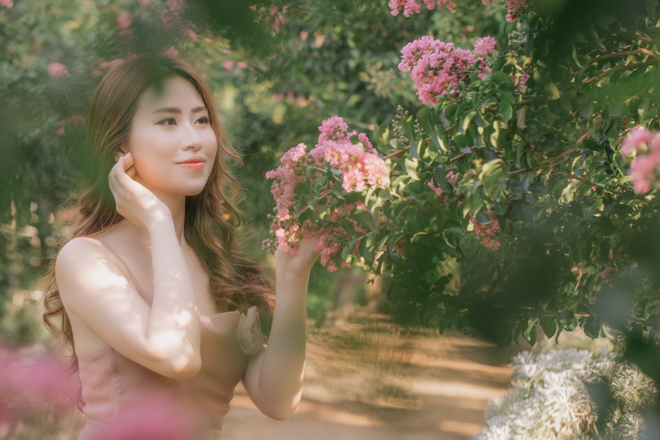Lặng ngắm con đường hoa tường vi, đẹp như mơ giữa lòng Hà Nội - 9 Lặng ngắm con đường hoa tường vi, đẹp như mơ giữa lòng Hà Nội - 9