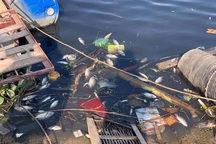 Sông Cầu "giãy chết", tỉnh Bắc Giang tiếp tục "cầu cứu" Bộ Tài nguyên