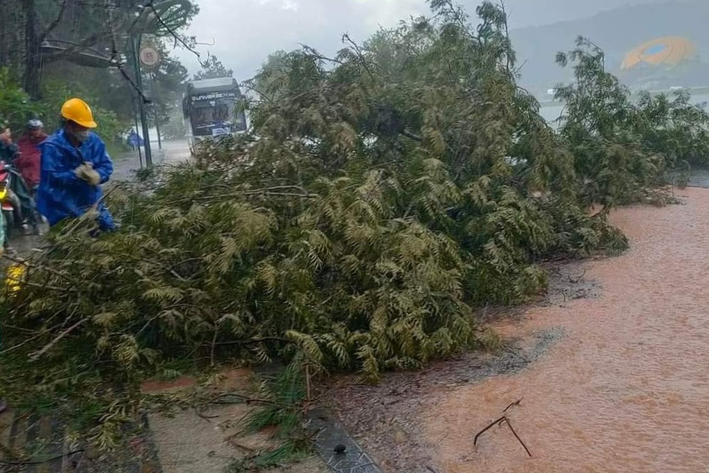 Nước ngập trùm đầu ô tô sau mưa lớn ở Đà Lạt - 4 Nước ngập trùm đầu ô tô sau mưa lớn ở Đà Lạt - 4