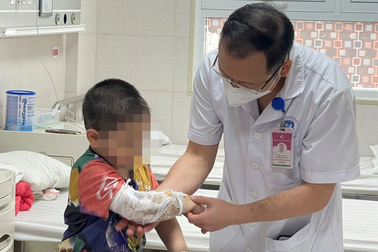 Hai con chó béc-giê tấn công, bé trai 3 tuổi bị vỡ thận, chấn thương bụng