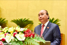 Thủ tướng: Nên rất hạn chế thủy điện nhỏ