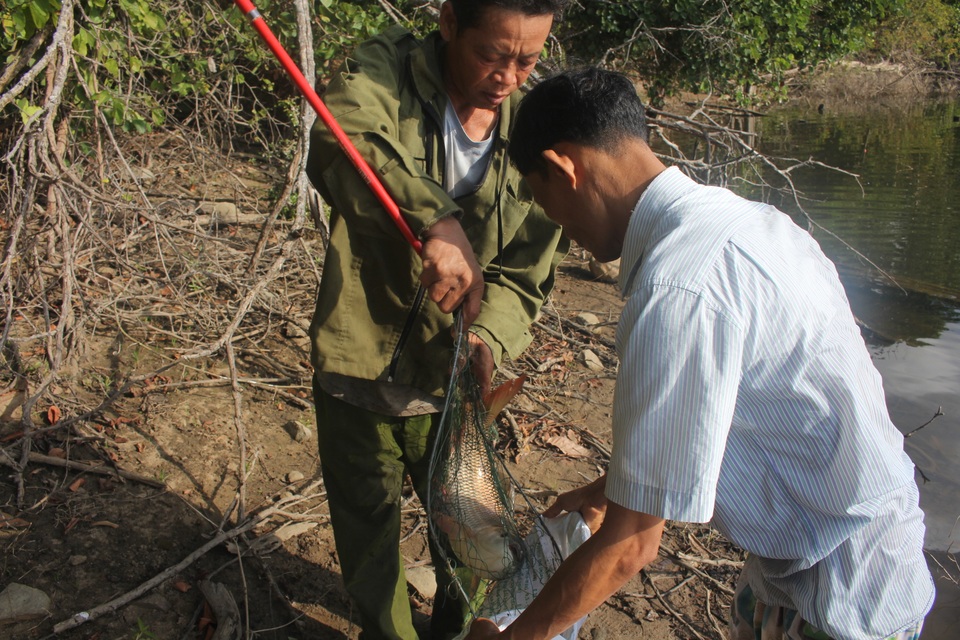 Gia Lai: Theo chân thợ câu săn “thủy quái” trên lòng hồ Ia Mlá - 7 Gia Lai: Theo chân thợ câu săn “thủy quái” trên lòng hồ Ia Mlá - 7