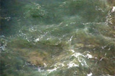 Nhiều vết dầu loang dọc bờ biển miền Trung