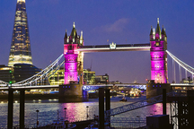 London rực sắc hồng chào mừng tiểu công chúa