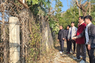 Phát hoảng vì xây dựng nghĩa trang, lò hỏa táng cạnh trường đại học Tây Bắc