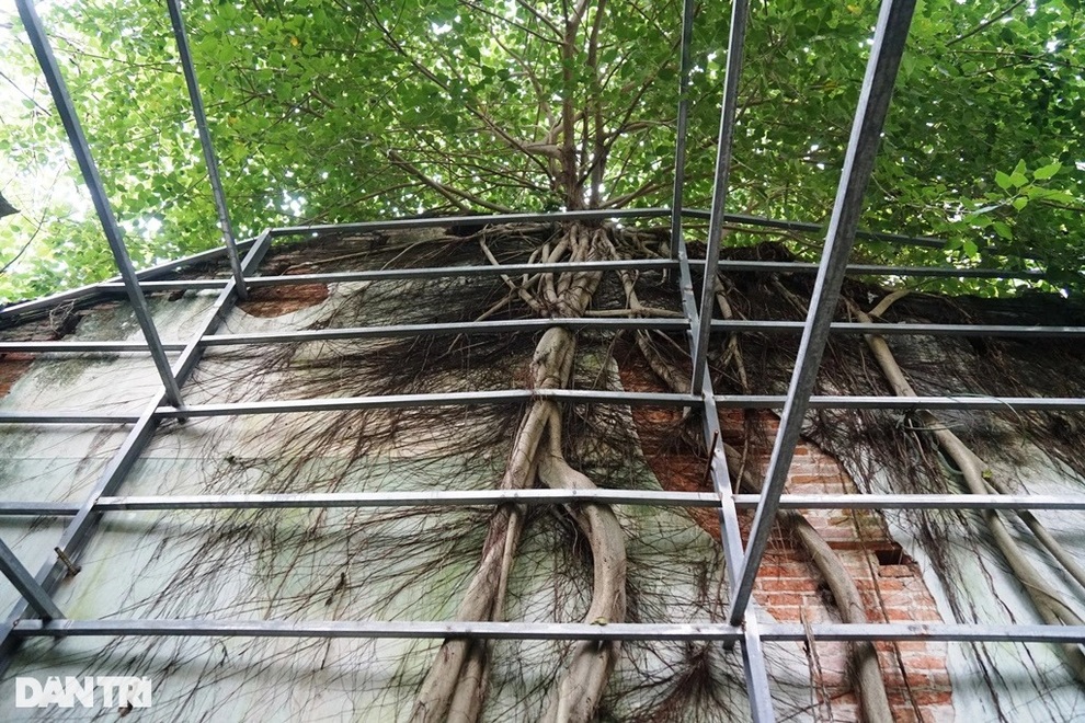 Di tích Hoa Thương Hội Quán giữa thành phố chờ ngày đổ sập - 7 Di tích Hoa Thương Hội Quán giữa thành phố chờ ngày đổ sập - 7