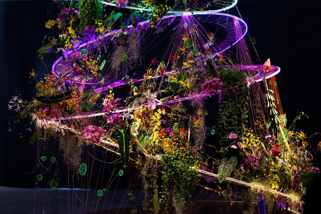 Harijanto Setiawan: “Cái đẹp, khi được nuôi dưỡng bằng lòng chân thành, sẽ không bao giờ tàn” - 3