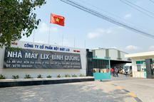 LIXCO: Thành công từ định hướng cổ phần hóa