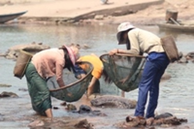 Những đứa trẻ mưu sinh trên dòng Sê Pôn