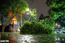 Doanh nghiệp phục hồi rất nhanh sau bão