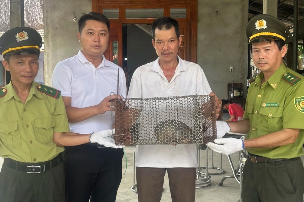 Xử phạt người bán 26 cá thể chim hoang dã trong dịp lễ Vu Lan - 3 Xử phạt người bán 26 cá thể chim hoang dã trong dịp lễ Vu Lan - 3