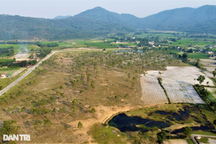 Di tích khảo cổ học thành nơi chăn bò: Địa phương lực bất tòng tâm?