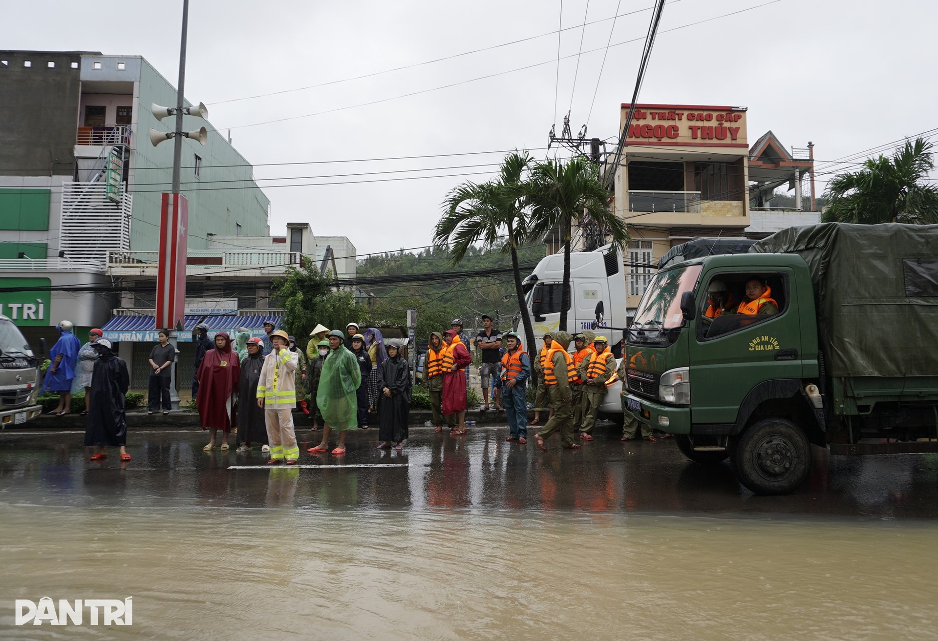 Người dân Gia Lai vật lộn giữa lũ lịch sử, đưa bò đến trụ sở xã trú - 14 Người dân Gia Lai vật lộn giữa lũ lịch sử, đưa bò đến trụ sở xã trú - 14