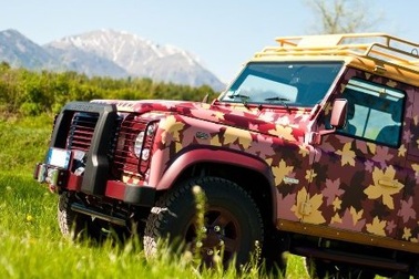 Một Land Rover Defender rực rỡ hoa lá