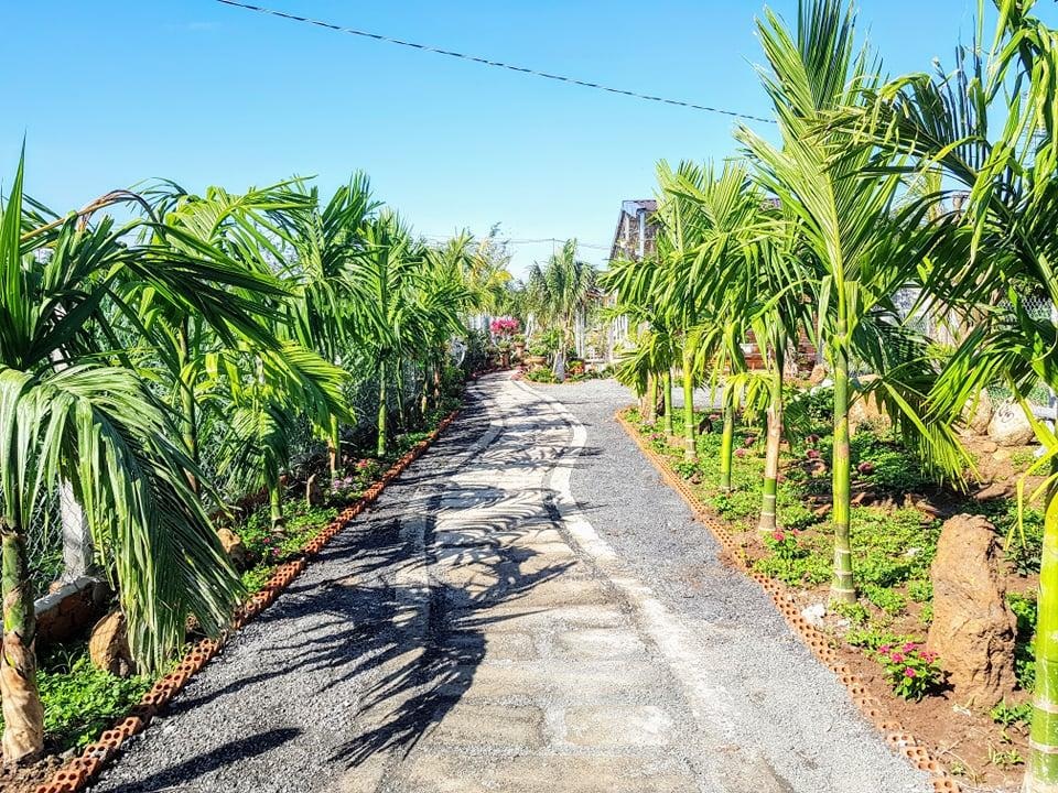 Ông bố trẻ ở Đắk Lắk làm nhà vườn đổi gió đẹp mê chỉ 160 triệu đồng - 3 Ông bố trẻ ở Đắk Lắk làm nhà vườn đổi gió đẹp mê chỉ 160 triệu đồng - 3