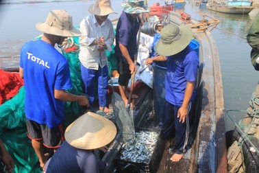 Sau vụ cá chết: Thuyền ven bờ “nằm im”, tàu xa khơi vướng nợ