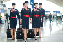 Bí mật bên trong vali của tiếp viên hàng không