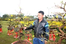 Chợ hoa Tết đìu hiu, người bán đứng ngồi không yên