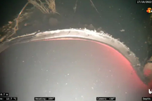 Phát hiện các hố sâu bất thường ở hiện trường vụ nổ đường ống Nord Stream