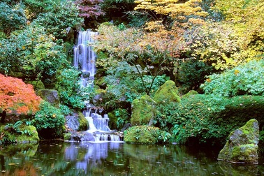 Dạo quanh khu vườn Nhật tuyệt đẹp trên đất Mỹ