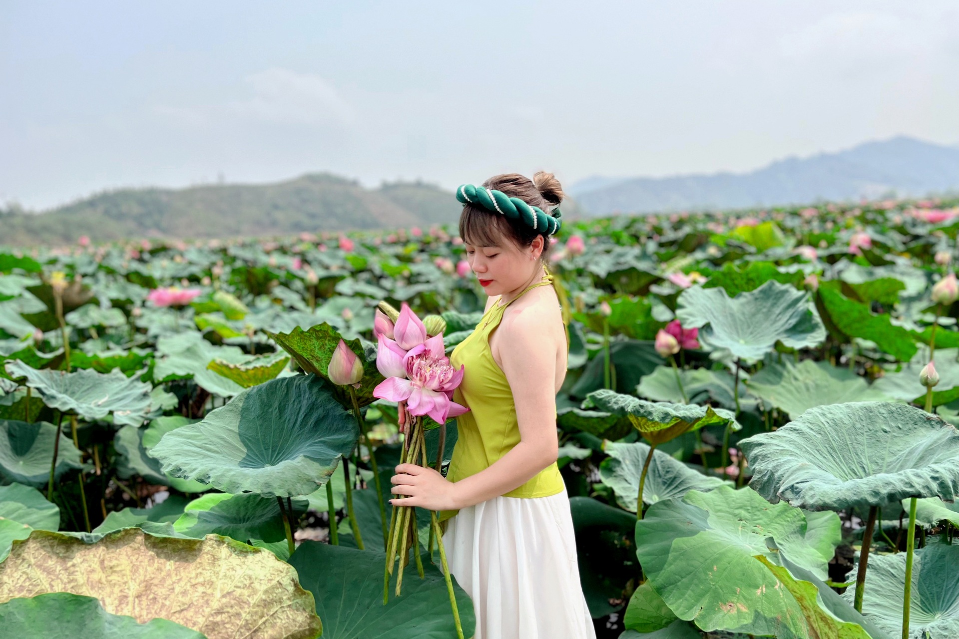 Sen nở kín trên đầm nước được hình thành từ khoảng 300.000 năm trước - 13 Sen nở kín trên đầm nước được hình thành từ khoảng 300.000 năm trước - 13