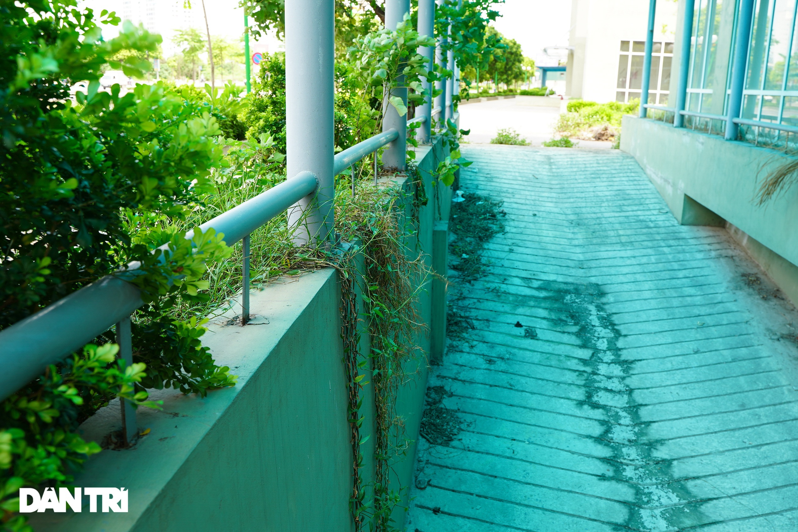 Cận cảnh dãy nhà giãn dân khu phố cổ bị bỏ hoang nhiều năm tại Hà Nội - 8 Cận cảnh dãy nhà giãn dân khu phố cổ bị bỏ hoang nhiều năm tại Hà Nội - 8